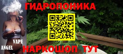 шишки Дубна