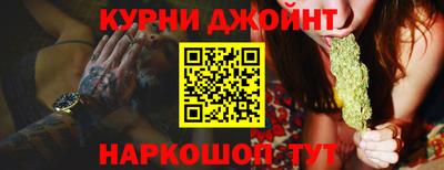 шишки Дубна