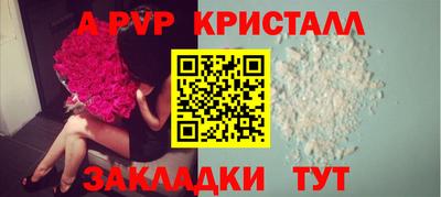 шишки Дубна