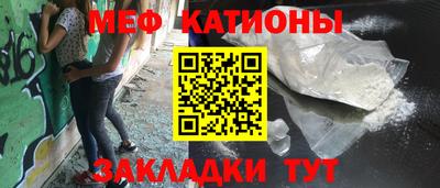 шишки Дубна
